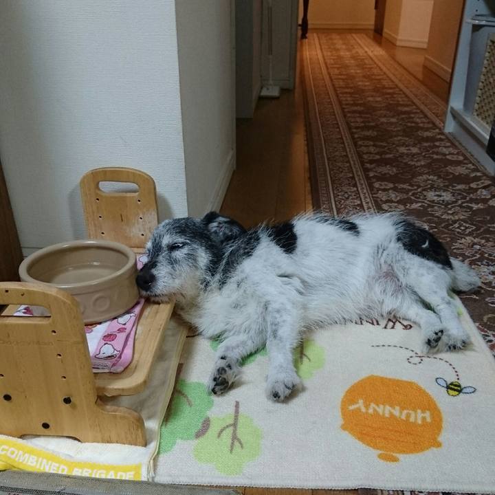 Acc6cab2 e75b 4072 9cbe 28c96f9883a8