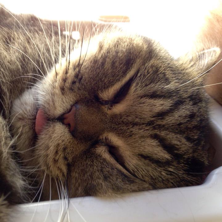 Acc6cc71 58a7 4473 9f2b 823f3d01250b