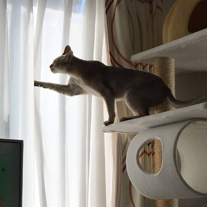 Acc6f75f 74e6 4095 98b3 8e006f181f8e