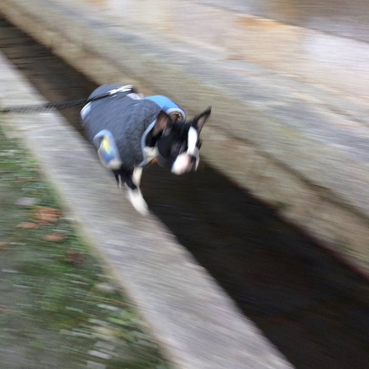 Acc713b2 af30 4857 9acc f60eb0c7a5d4