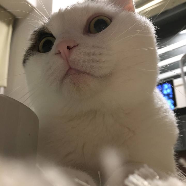 Acc718b7 5f44 471c 865f 466a075e9728