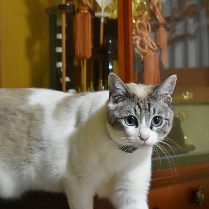 Acc73b2a eedd 41b0 9050 8f702986d460