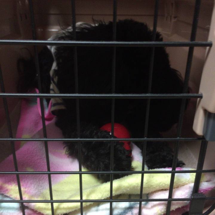 Acc81e86 c4b3 4389 9369 9cf74389a044