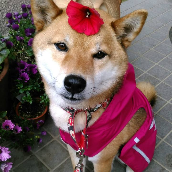 Acc8ad20 0584 4dd2 a222 44a21a685f66