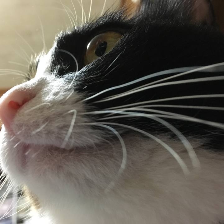 Acc94427 80ab 474d a581 2d313b85bc18