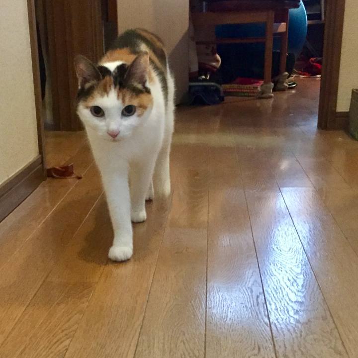 Acc9b8a2 98d6 4ad3 af81 65076ad13e91