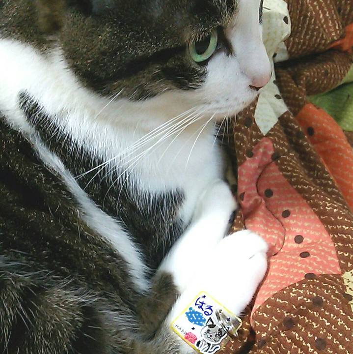 Acca0b0a 1ae7 4107 9d73 c7cc2a904d8a