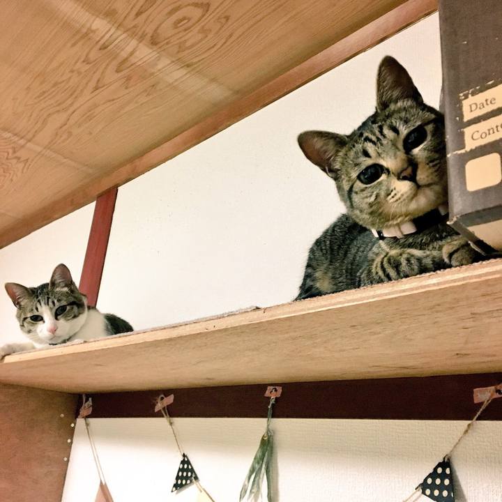 Acca1f54 129e 49df abe8 98aae3c67c93