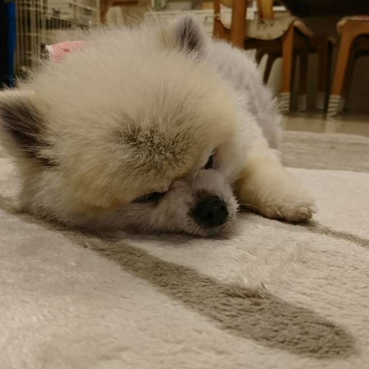 Acca6520 bb8e 4c83 88fb 7ce473e771c9