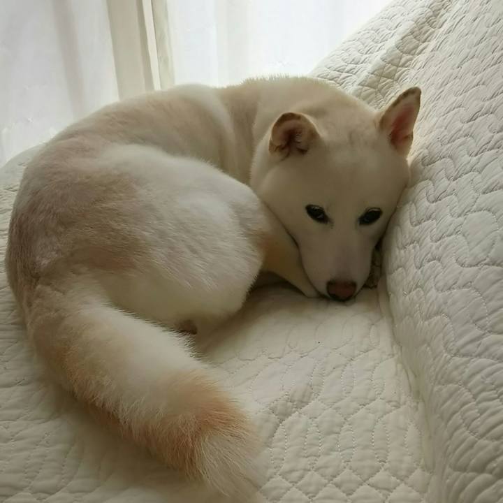 Accaa9e5 7514 4ef1 9aad 0b2270a5ec31