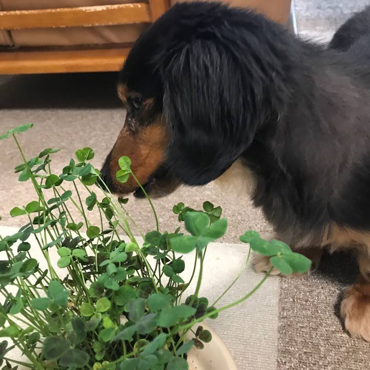 Accacbd2 7442 4ed7 b45a facdda073255