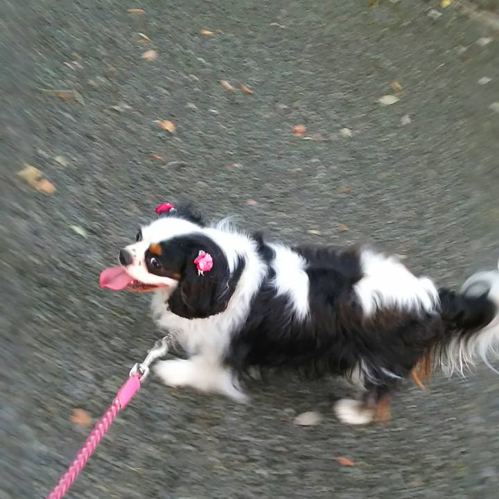 Accaea42 541e 4fca b73d 59d82bbaa5a6