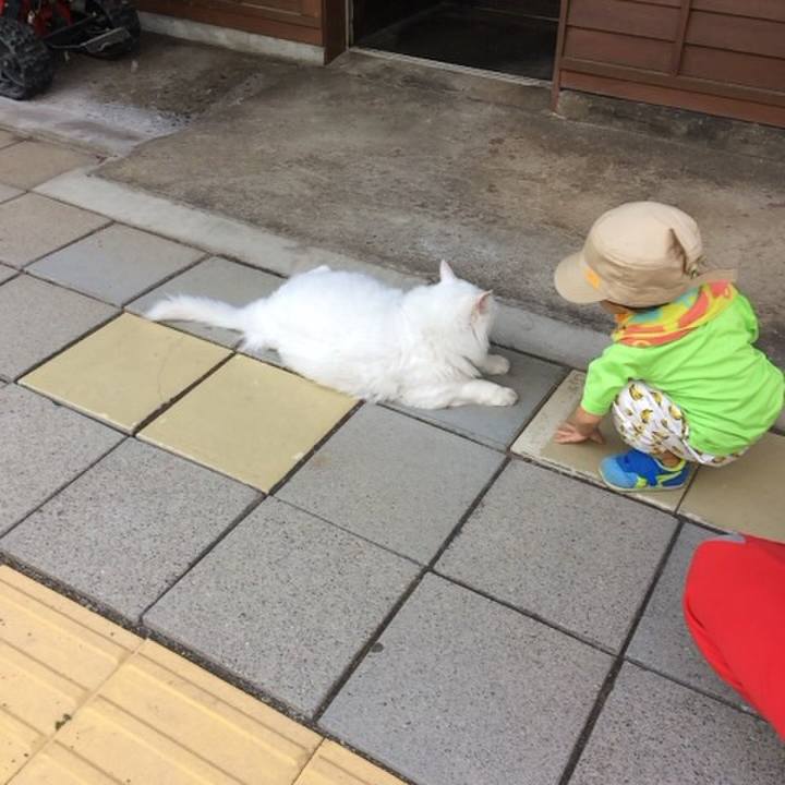 Accb115f 46d0 4153 b467 35932c62d3eb