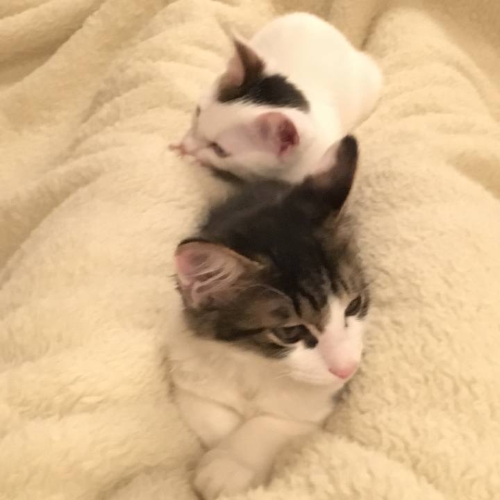 Accb5edf 06ea 4ba3 ac1d e9d09f0a197c