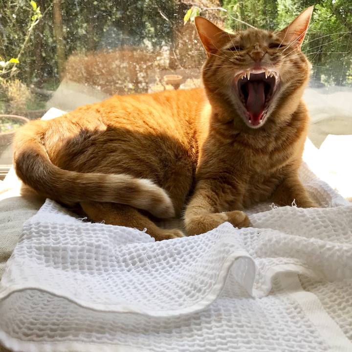 Accba1d3 24f1 48eb afdf 0c8a7aec94bc