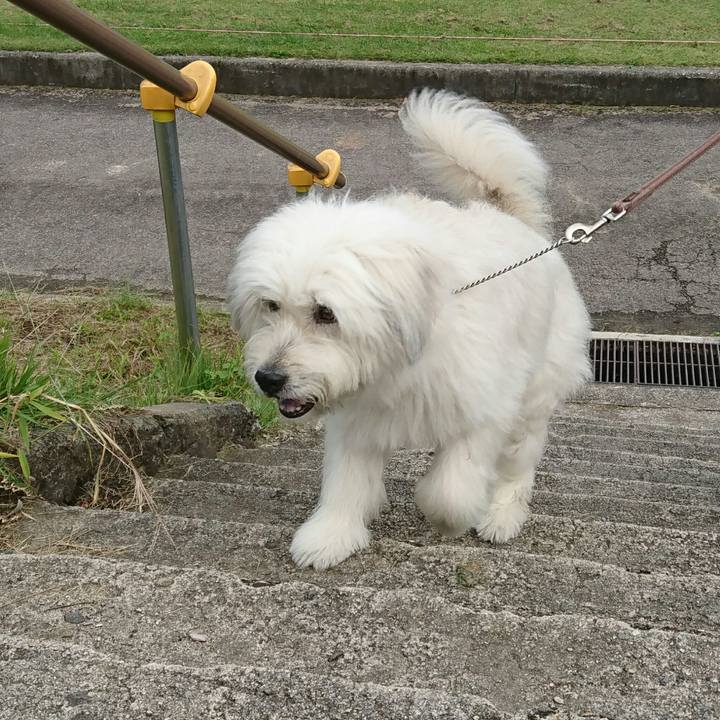 Accc2900 d970 4295 be0b 28815457cdc2