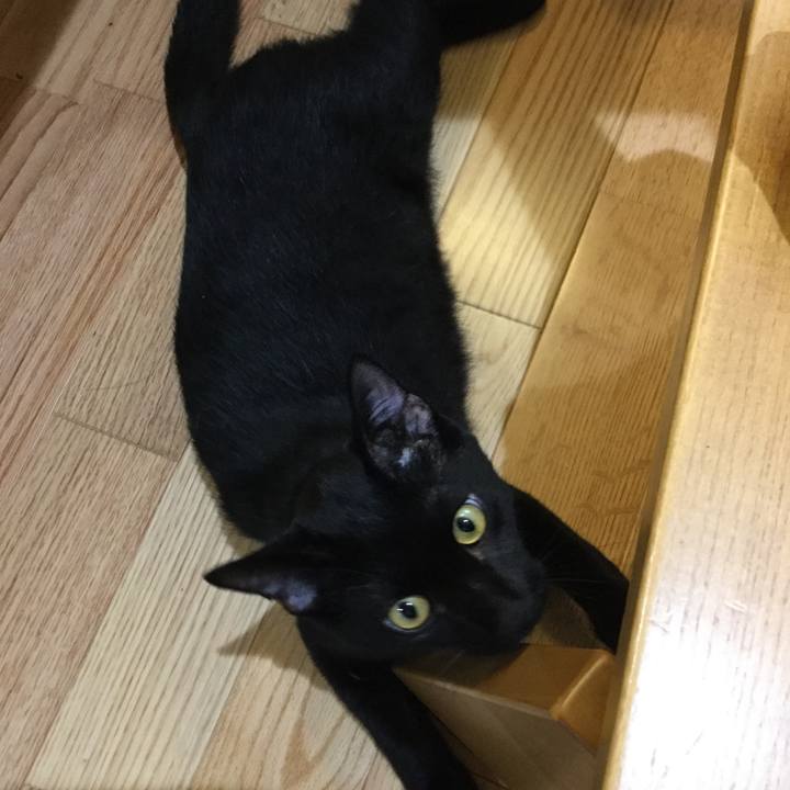 Accca4ea 54fd 4d1c 9a07 ecb01ea9baa0