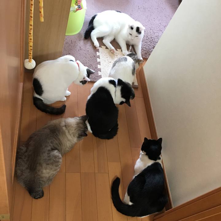 Accd887a 1c3b 41b3 96d7 7c690e713e0d