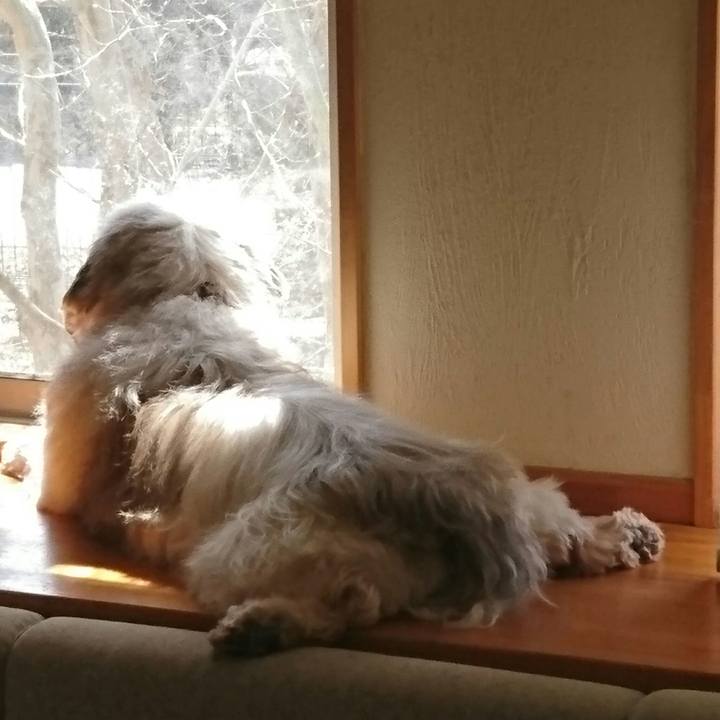 Accdd613 8a48 4848 b73f 24ad8d48412d