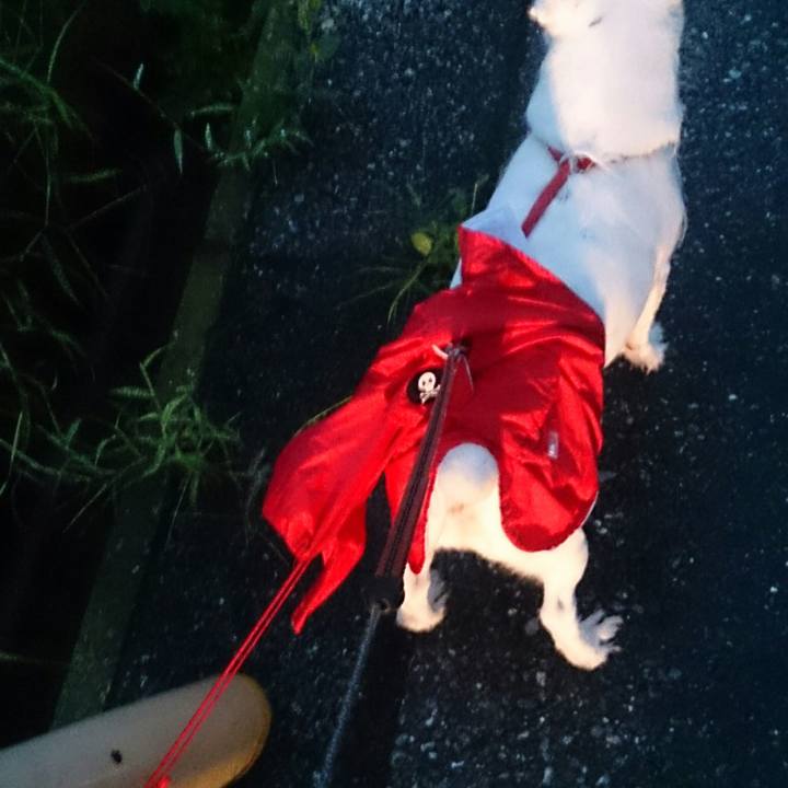 Acd033ec f295 4c8a b1bd b532edbb68ae