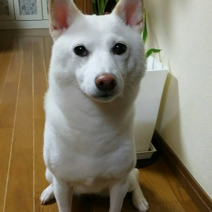 Acd106ac 81c9 4d6e 9664 88cf40324d9c