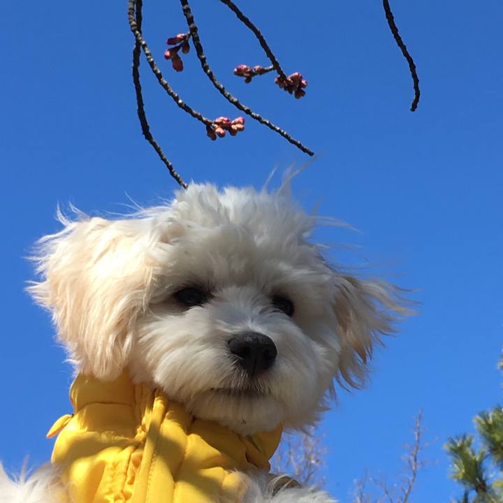 Acd31157 f04f 4301 bdb1 5242b39016ff