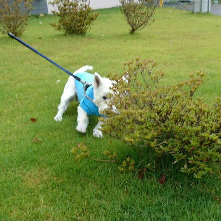 Acd33a87 c753 4a3f 81ba a7c94a01f21e