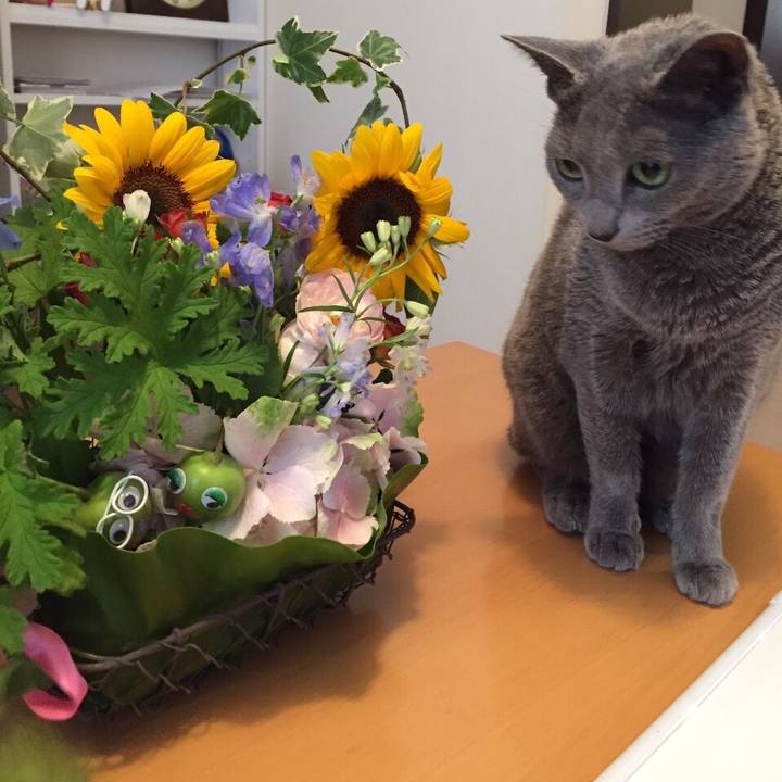 Acd4296d 06a5 4d81 85a4 653513113592