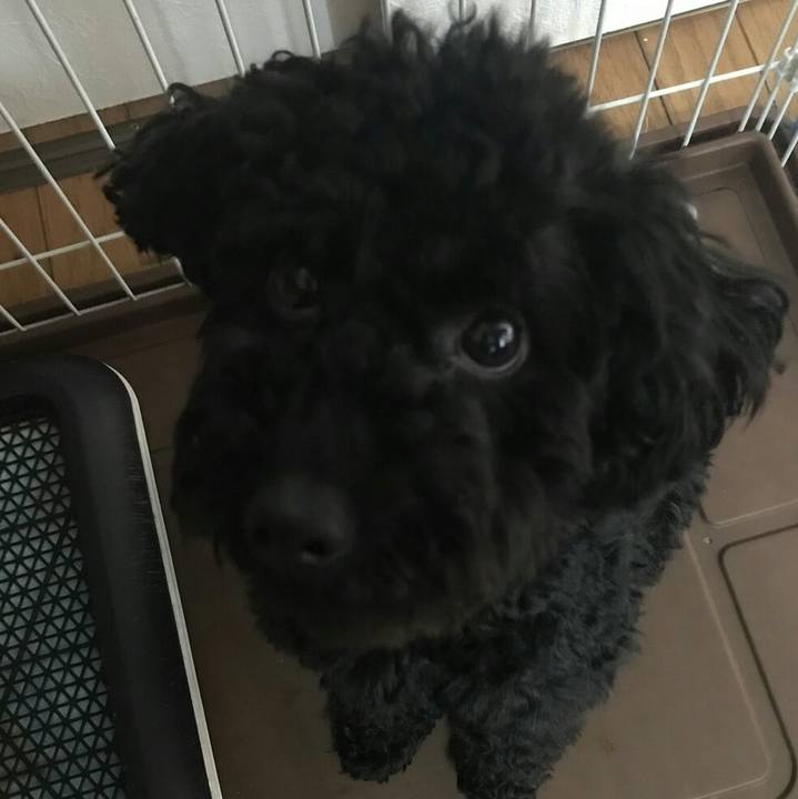 Acd4456c d885 4ae7 8c15 19bcc29952e1