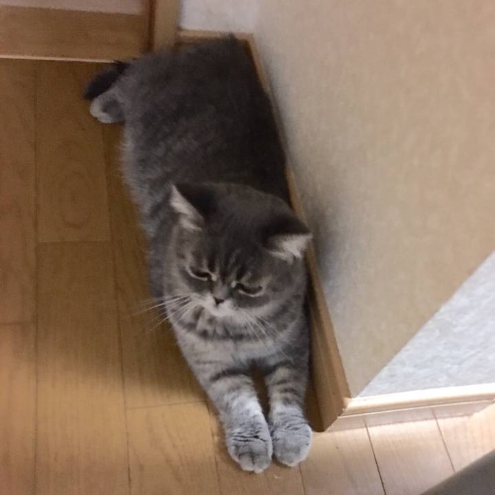 Acd4f79b a86d 4957 a81b 335024e48afa