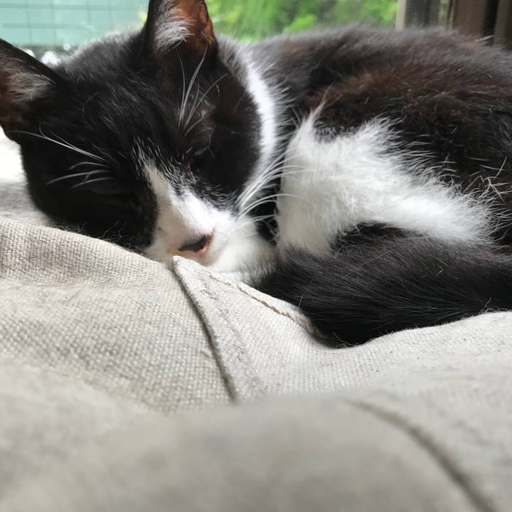 Acd5d55a 657a 40ed a34f 989b48b97c1e