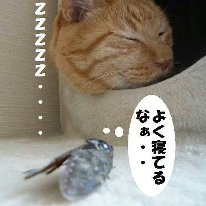 Acd6d772 4e93 4c53 9e5b c79021b2e42b