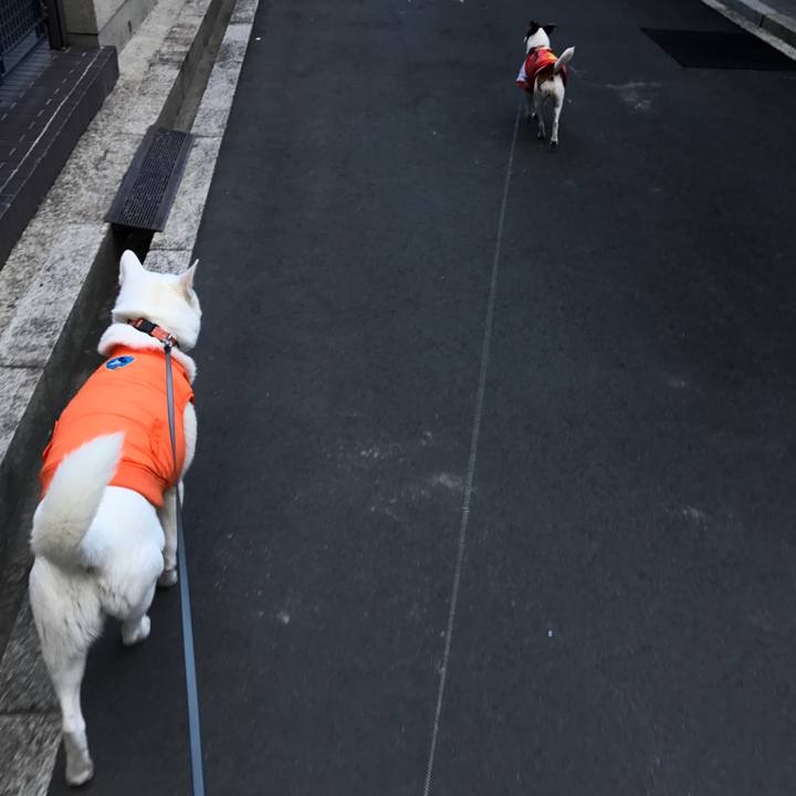 Acd804cd fc8a 4512 9b4f 995d01fdbc23