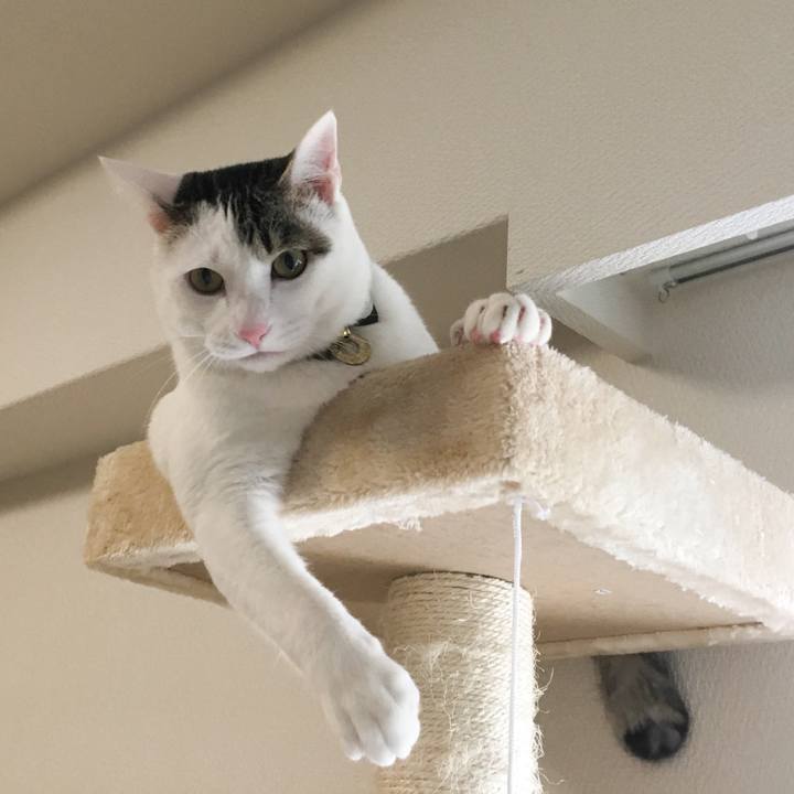 Acd8570b c1d5 4961 b685 5033a6354183