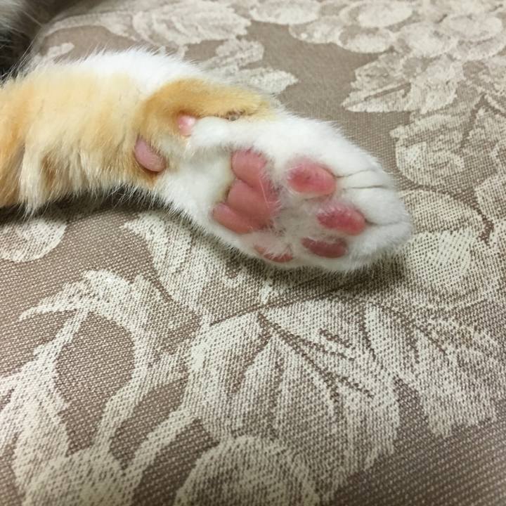 Acd89b8f 3154 41d2 8695 86e4d5f5e74e