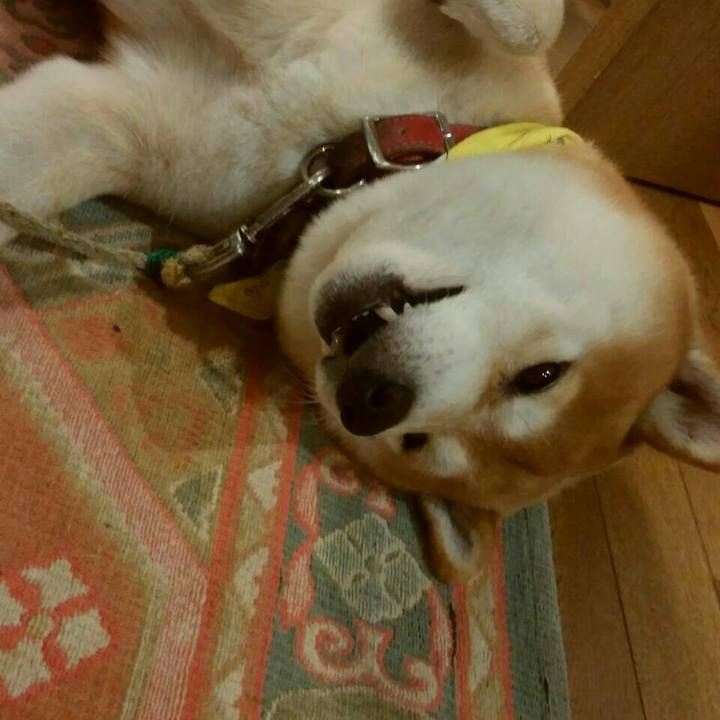 Acd915f5 a9ca 4a8b a0a2 49a734e841d6