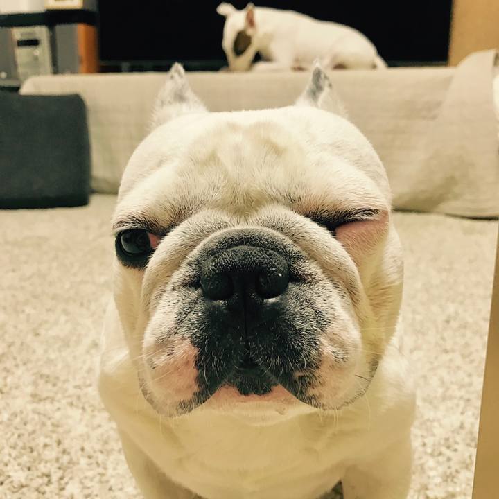 Acd919ed 72fa 4cb0 8e39 d67105f7692d