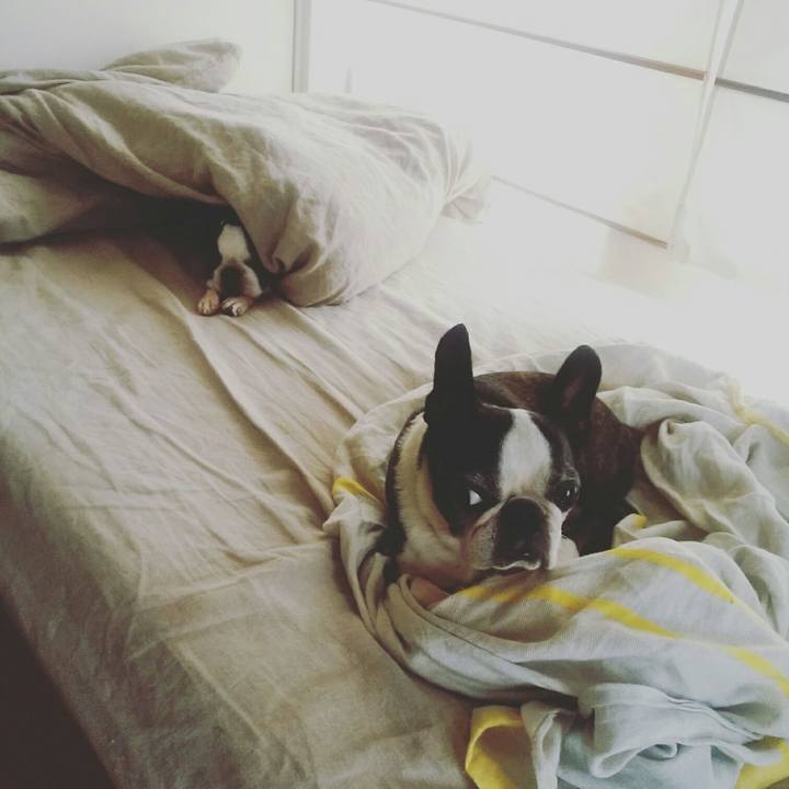 Acd92b83 ce14 4927 b654 28909a12e1ee