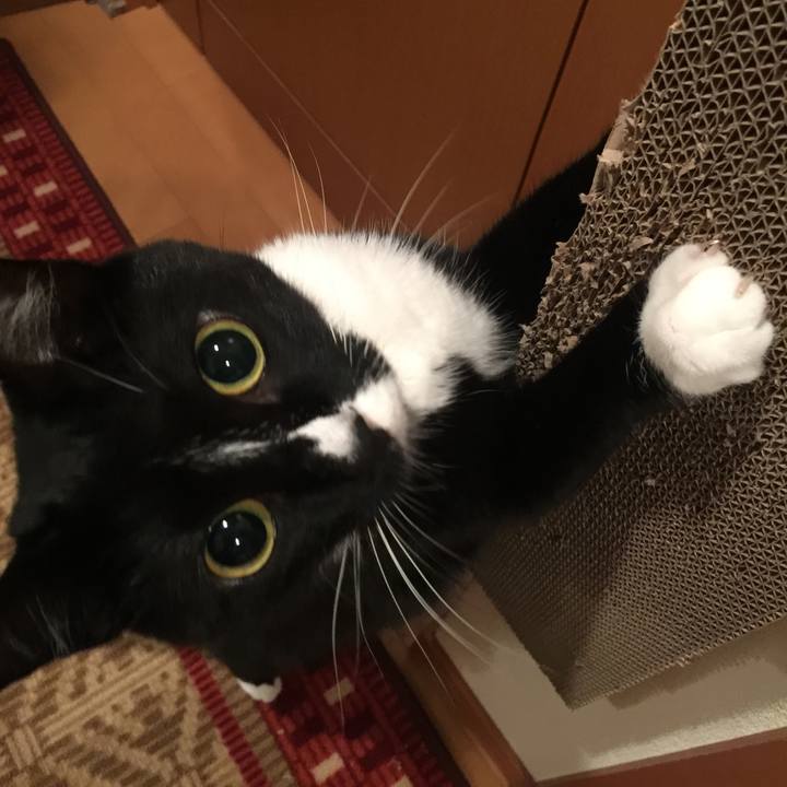 Acd93d58 d1ba 4125 958d d26ec64565d5