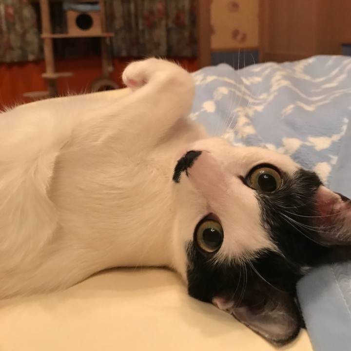 Acd97533 253a 4773 882e cac243038b27