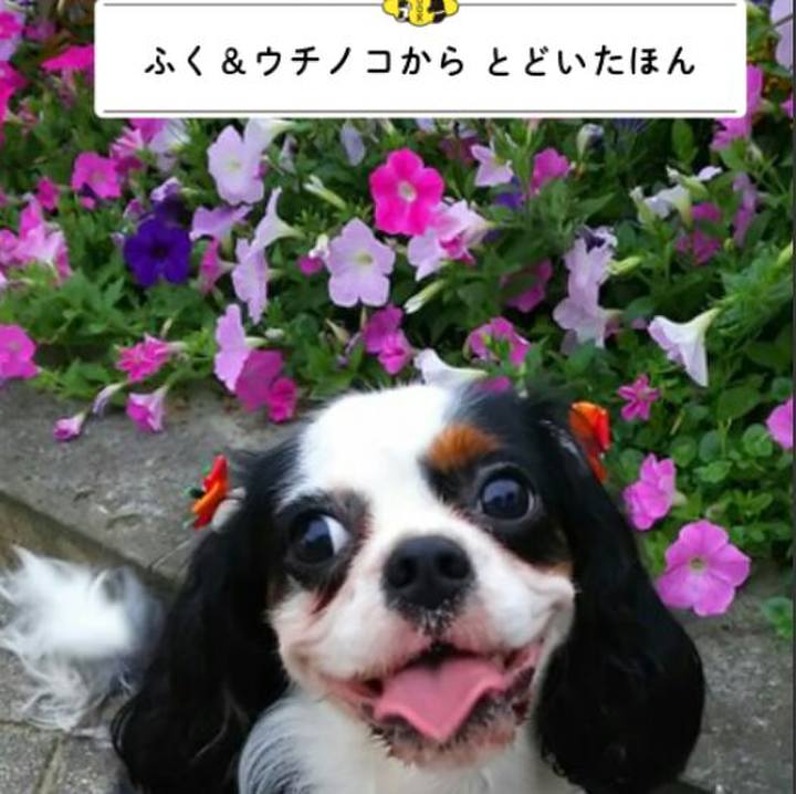 Acd99da2 f8bd 44b5 ab7d e39328a175fc