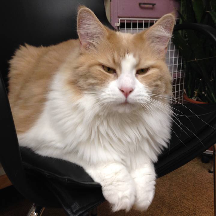 Acda879e a058 49b1 bce8 5daa4ca77414