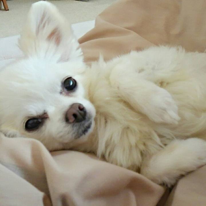 Acdaf0aa a785 4e0d 84d3 f47e9902c4b9