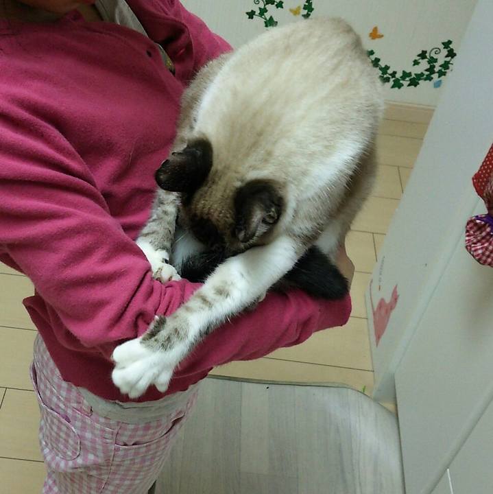 Acdafa16 7006 4fff 941d 9dbed1faf188