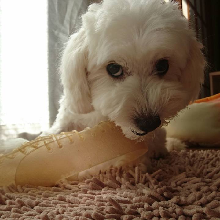 Acdba50a 179c 461a 903d d5bec53e1424