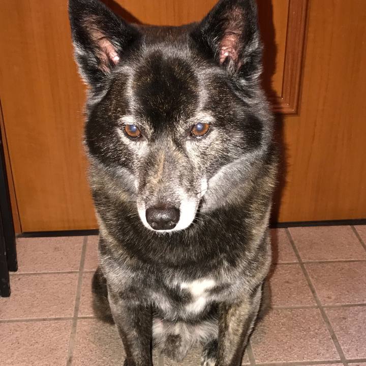 Acdbefd6 6adb 430d 8969 73a52c772e28