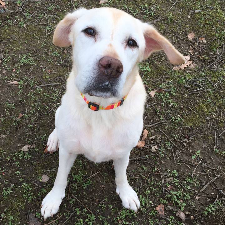 Acddd230 ac58 4277 b1db 133cbc33fdc5