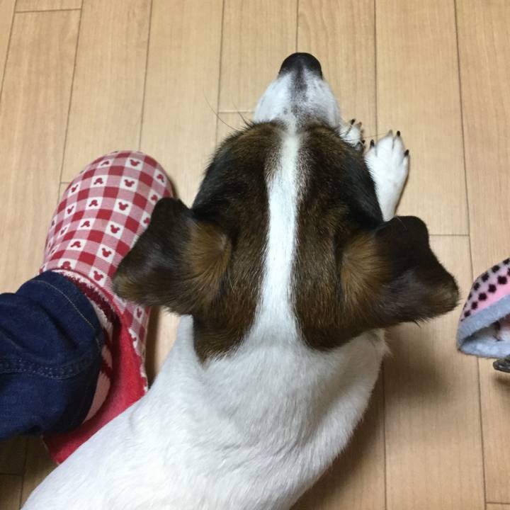 Acddf9b7 259d 4bff 9d68 6001fbaa27f6