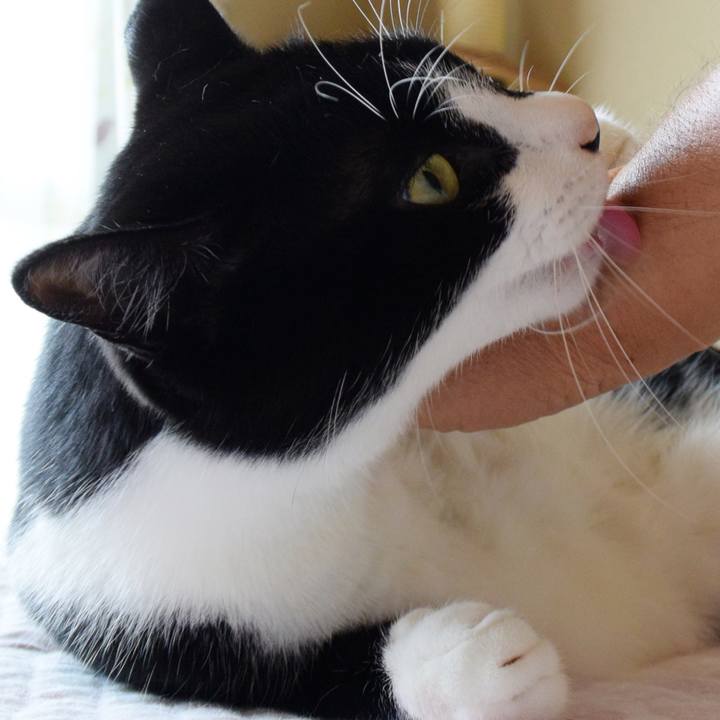 Acdec6ec e8c3 4afb 9c55 423182928296