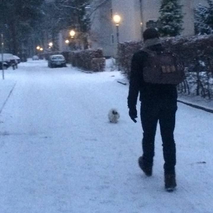 Acdec75b 0142 494f 9ccc 003e8648512a